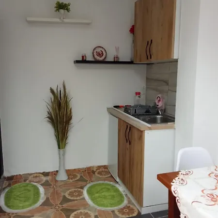 Apartament Oasis In Near Bus Station Tirana