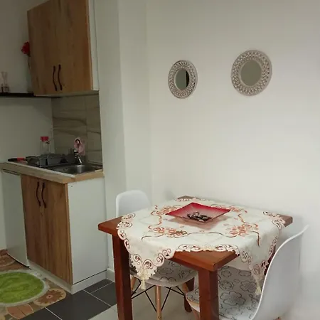 Oasis In Near Bus Station *