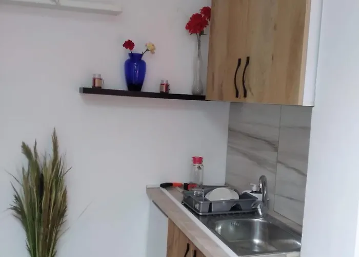 Oasis In Near Bus Station