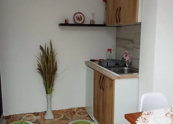 Apartment Oasis In Near Bus Station Tirana