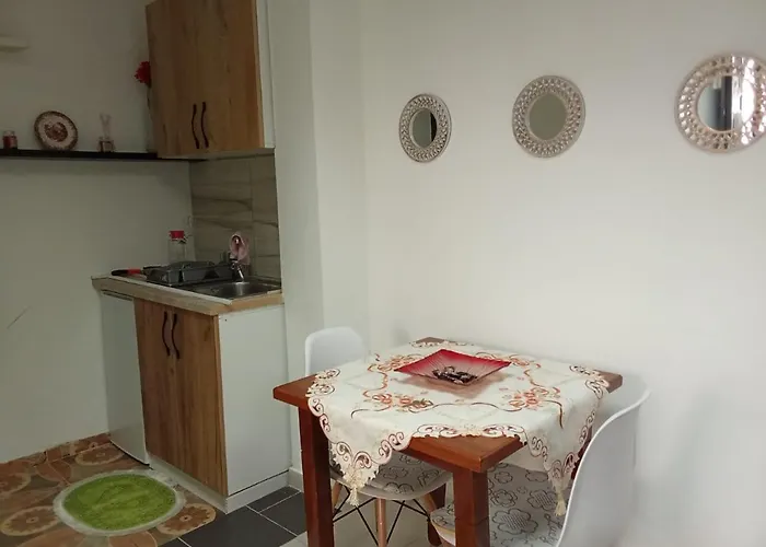 Oasis In Near Bus Station *