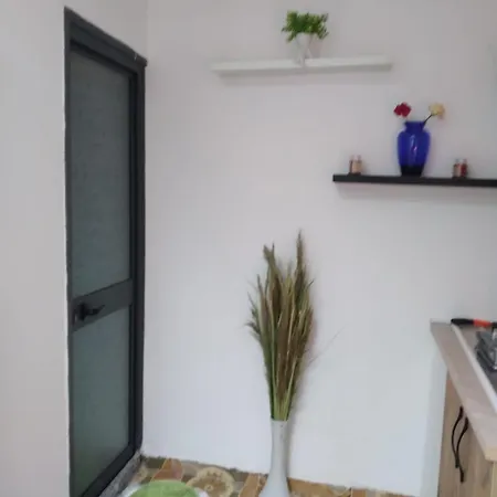 Oasis In Near Bus Station * 地拉那