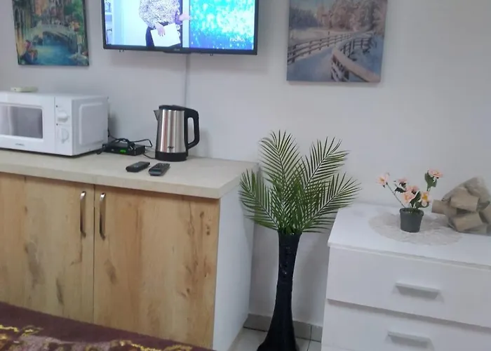 Oasis In Near Bus Station Apartman Tirana