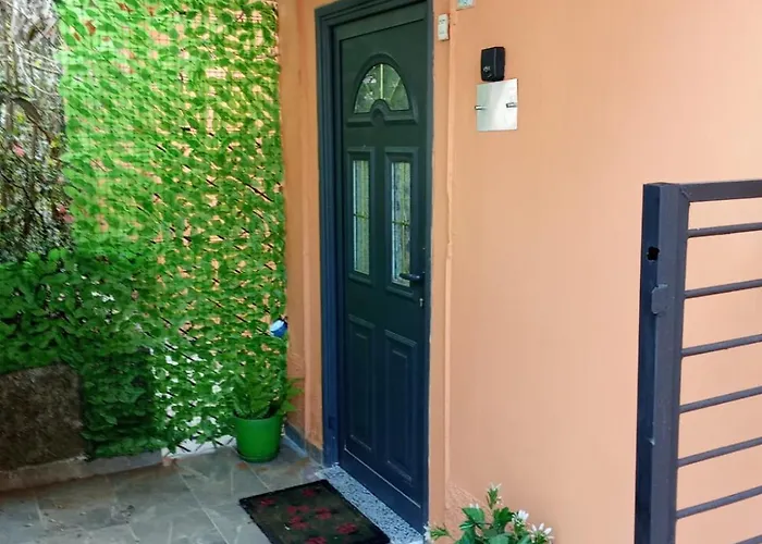 Oasis In Near Bus Station